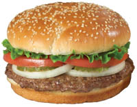 Hamburger w/ French Fries
